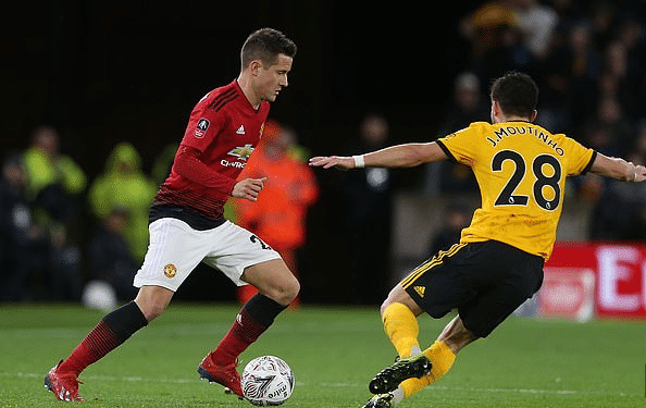 费和续约费 费和续约费